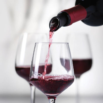 Nuance Wine Finer (Wine Aerator, Pourer, Stopper, Filter)